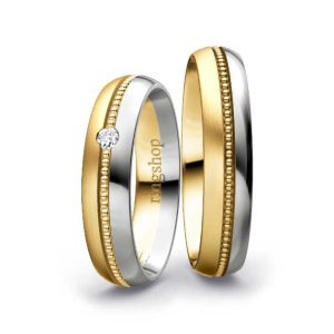Yellow gold/Platinum