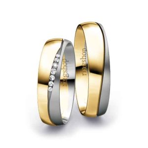 Yellow gold/Platinum