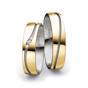 Yellow gold/Palladium