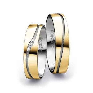 Yellow gold/Platinum