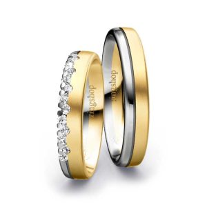 Yellow gold/Platinum