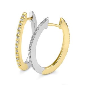 Bicolor (yellow/white)