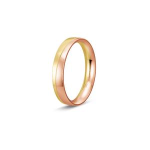 Ring 1