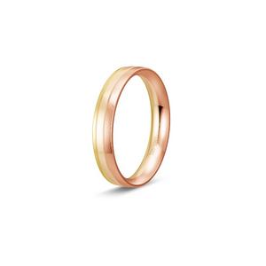 Ring 1