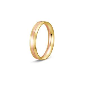 Ring 1