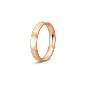 Ring 1