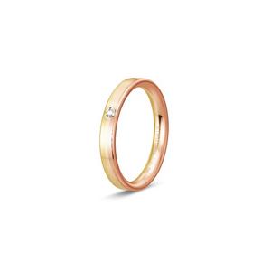Ring 2