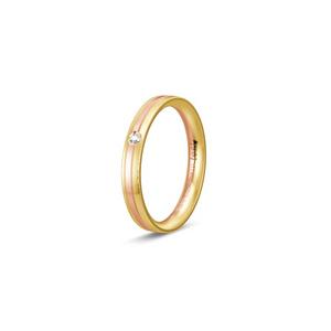 Ring 2
