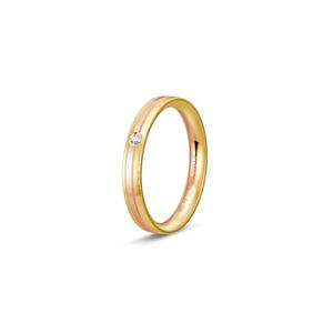 Ring 2