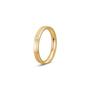 Ring 2